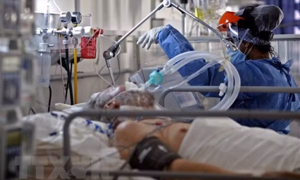 Số ca tử vong do COVID-19 có thể cao hơn gấp 3 lần số liệu thống kê