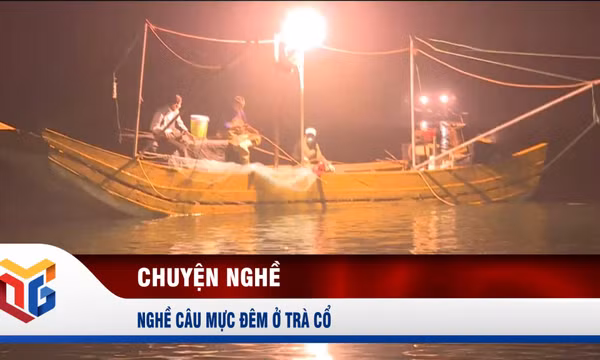 Nghề câu mực đêm ở Trà Cổ