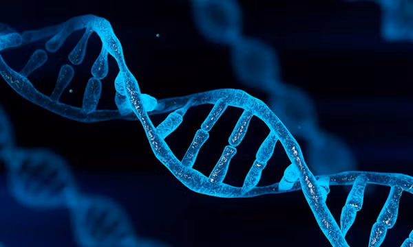 DNA rác có thể giúp con người dập tắt ký ức về nỗi sợ hãi