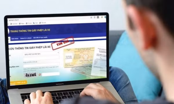 Trang web gplxgov.org.vn là giả mạo
