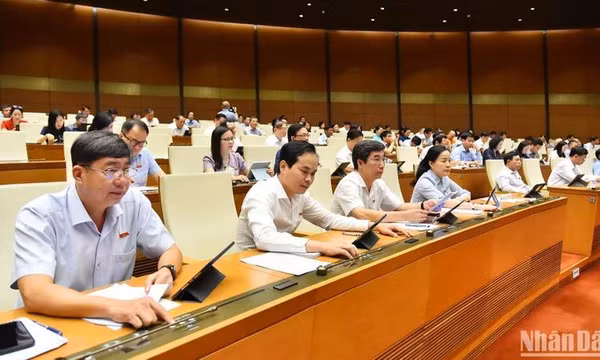 Quốc hội thành lập đoàn giám sát tối cao về bảo vệ môi trường