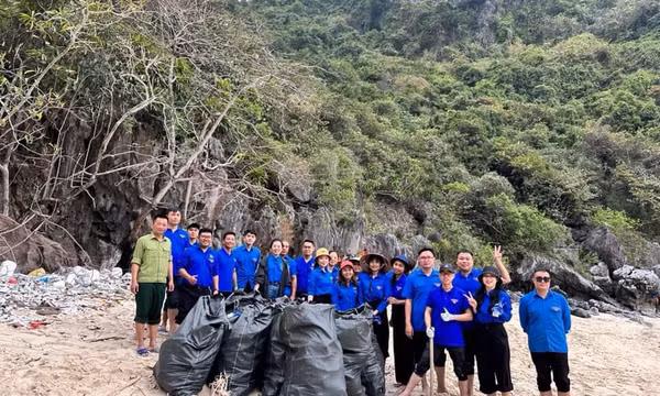 Hạ Long: Trên 80.000 lượt hội viên, thanh niên tham gia các phong trào tình nguyện