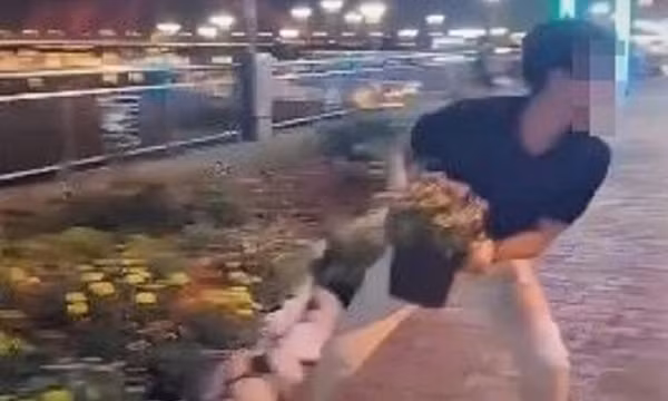 Thanh niên dàn dựng clip trộm cây cảnh để đăng lên TikTok 'câu view'