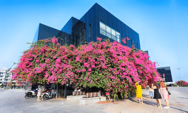 Bản tin Vùng Đông Bắc ngày 19/6/2024