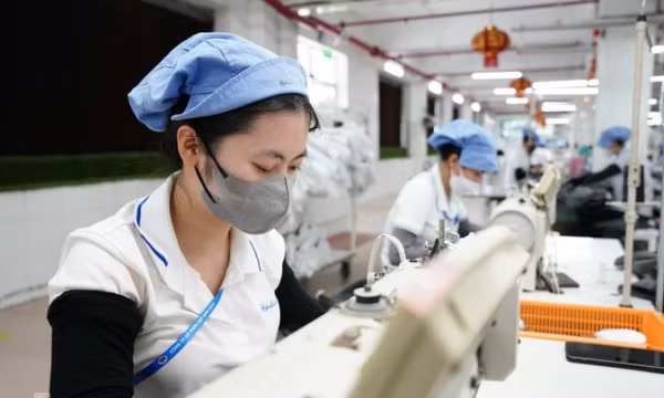 Lao động phổ thông chiếm 44% nhu cầu tuyển dụng cả nước