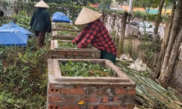 Nhiều mô hình phụ nữ tham gia bảo vệ môi trường