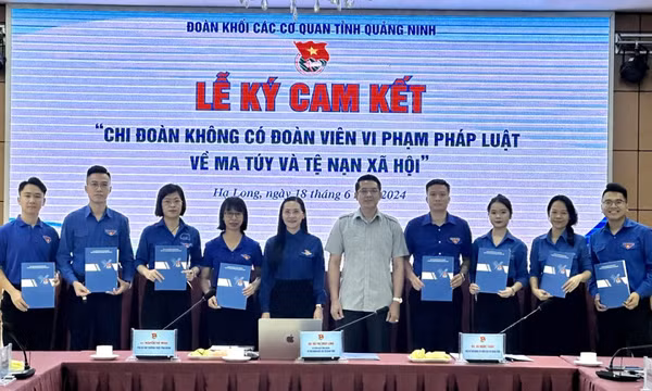 Đoàn Khối các cơ quan tỉnh triển khai nhiệm vụ 6 tháng cuối năm 2024