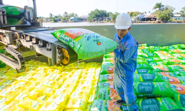 Đừng thêm gánh nặng cho nông dân với thuế VAT