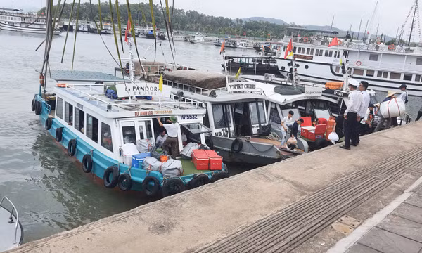 Gia tăng nguồn thu của Vịnh Hạ Long: Làm sao cho “vẹn cả đôi đường”?