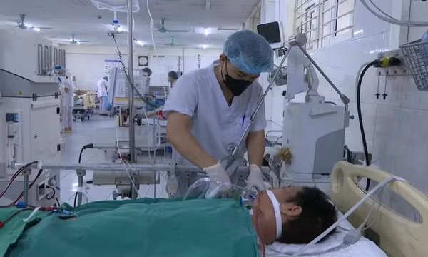 Lào Cai: Một người dân suy đa tạng, nguy cơ tử vong do ăn thịt lợn chết