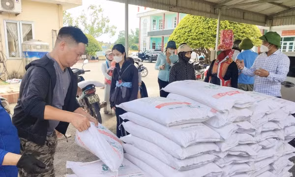 Hải Hà cấp phát 3.000 lít hoá chất và 24 tấn vôi bột phòng dịch tả lợn châu Phi