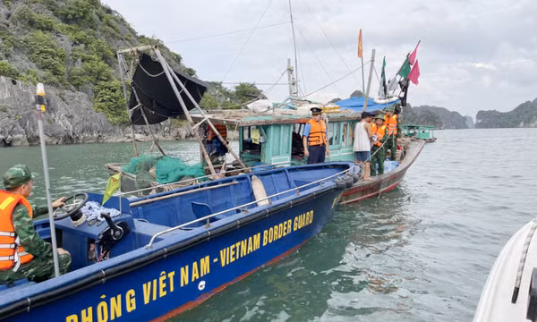  Xử lý nghiêm thăm vịnh “chui”