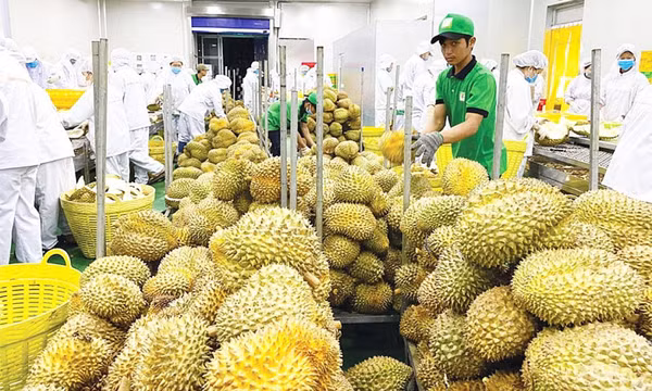 Nửa đầu năm 2024, xuất khẩu rau quả ước thu về 3,4 tỷ USD