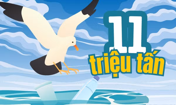 11 triệu tấn - là khối lượng rác thải nhựa đang nằm sâu dưới đáy đại dương
