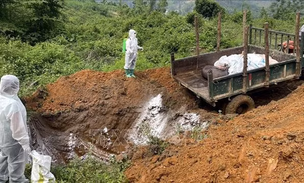 Quyết liệt, đồng bộ giải pháp kiểm soát bệnh dịch tả lợn châu Phi