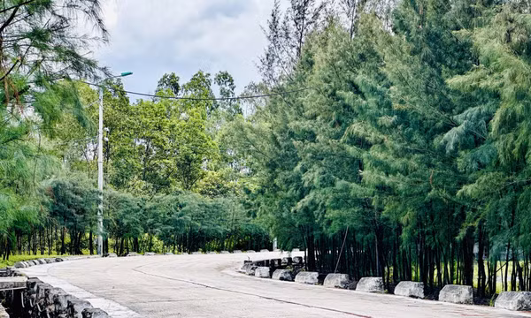 Công ty Kho vận Đá Bạc - TKV: Gắn sản xuất với bảo vệ môi trường