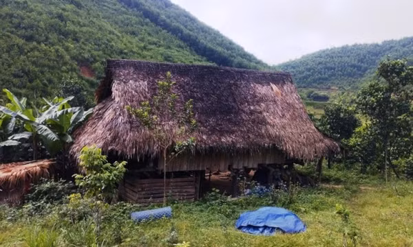 Lập chòi lán giữa rừng sâu để mua bán, vận chuyển số lượng lớn ma túy