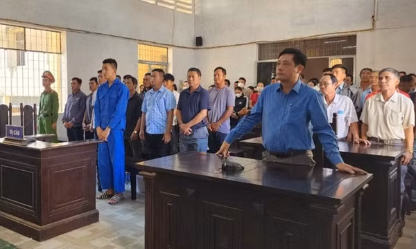 Nhiều cán bộ lĩnh án trong vụ phá rừng lớn nhất Đắk Lắk