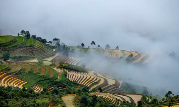 Bức tranh mùa nước đổ ở Tà Xùa, Sơn La