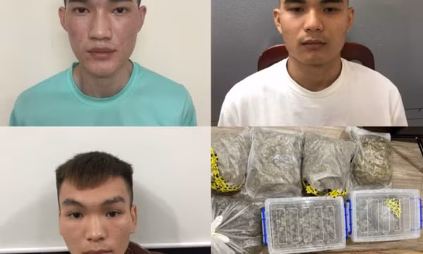 Phá ổ nhóm thuê chung cư cao cấp đóng gói cần sa bán trên hội nhóm Telegram