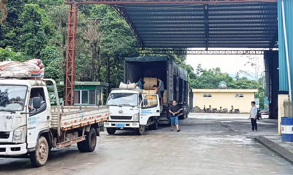 Cửa khẩu Bắc Phong Sinh: 6 tháng đầu năm, kim ngạch XNK hàng hóa tăng gần 37% so với cùng kỳ