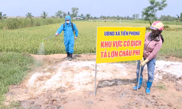 Quyết liệt phòng chống dịch tả lợn châu Phi