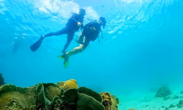 Du lịch lặn biển ngày càng hấp dẫn du khách