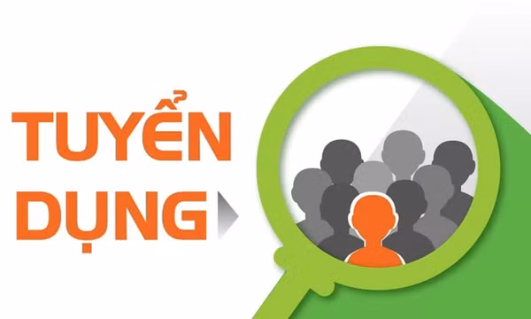 Văn phòng Tỉnh ủy thông báo về việc tiếp nhận công chức