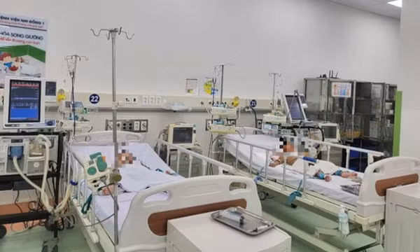Người nhà nhờ thầy lang 'hút nọc' rắn độc cắn, bé gái nguy kịch
