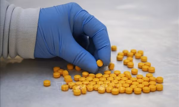 Mỹ áp đặt trừng phạt các cá nhân, tổ chức tiếp tay cho hoạt động bào chế fentanyl