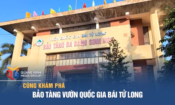 Bảo tàng Vườn quốc gia Bái Tử Long