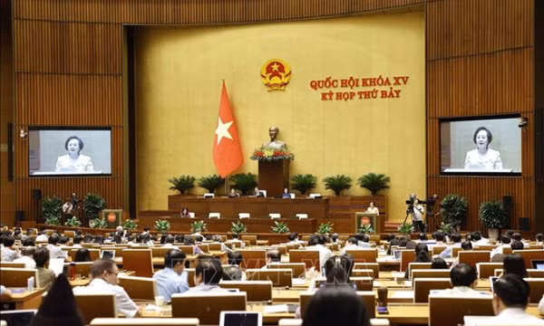 Kiến nghị giao Chính phủ thực hiện cải cách tiền lương, điều chỉnh lương hưu, trợ cấp