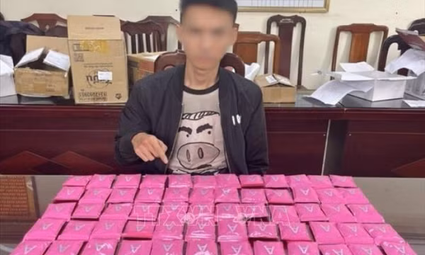 Liên tiếp triệt phá các ổ nhóm ma túy, cần sa số lượng lớn