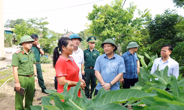 Phó Chủ tịch UBND tỉnh Nghiêm Xuân Cường kiểm tra thực tế tại TP Móng Cái