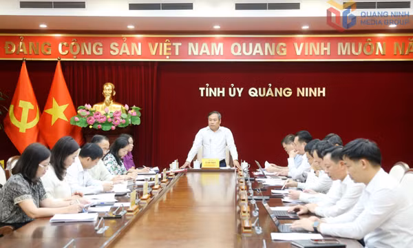 Giao ban Thường trực Tỉnh ủy