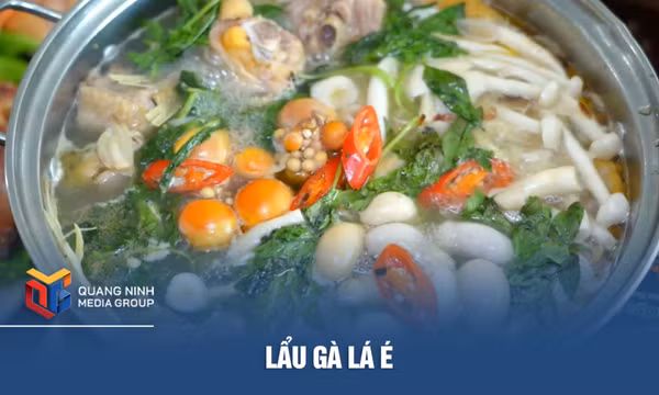 Lẩu gà lá é