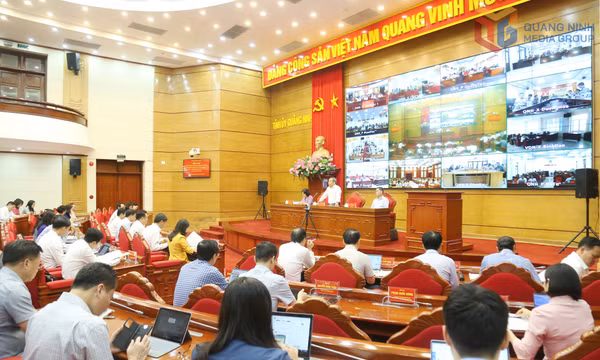Tạo khí thế mới, động lực phát triển mới từ những chủ trương, định hướng chiến lược của tỉnh