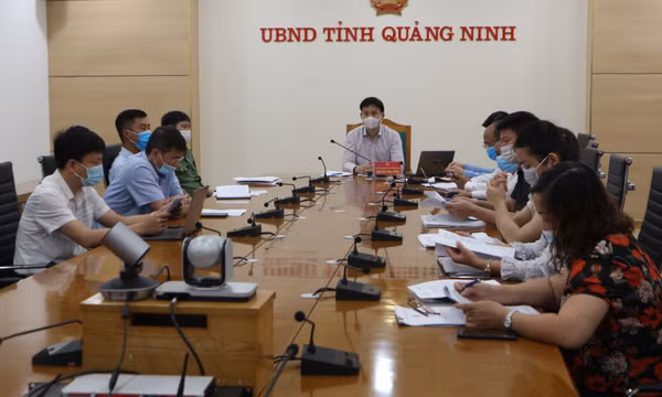 Hội nghị trực tuyến về phòng chống dịch bệnh viêm da nổi cục trên trâu, bò