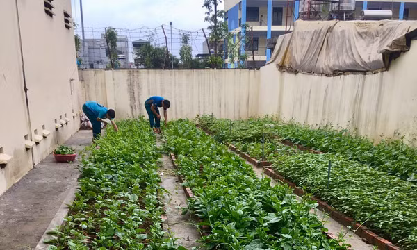 “Điểm sáng” ngành Hậu cần làm theo lời Bác