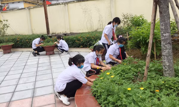 Ngành Giáo dục Cẩm Phả: Nhiều cách làm hay trong học và làm theo Bác