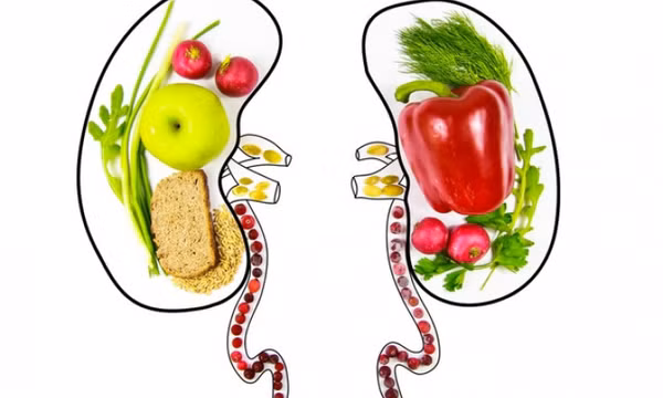 Ung thư thận: Tránh ăn gì để thận không phải làm việc quá sức