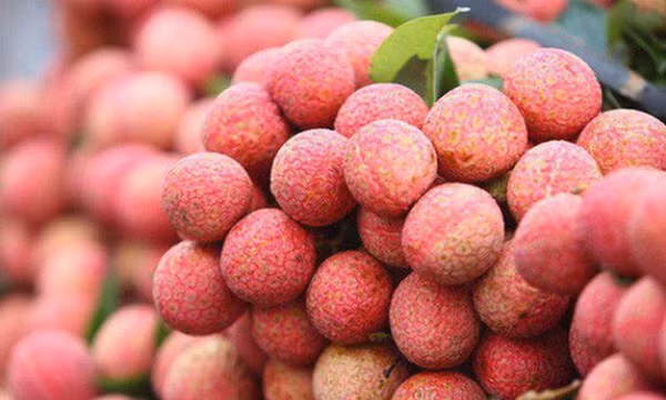 Vải thiều Việt Nam giá 500.000/kg tại Nhật Bản