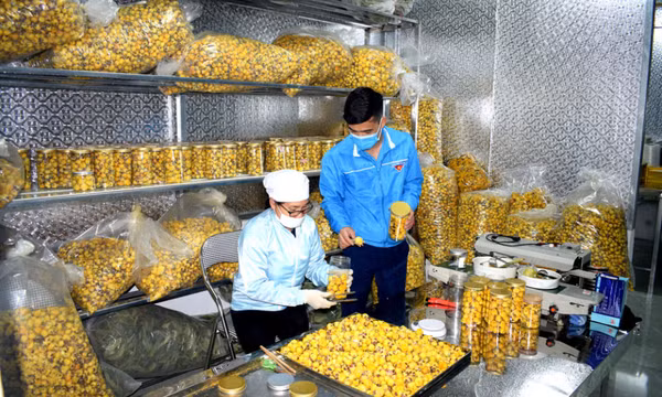 "Bà đỡ" cho các mô hình kinh tế thanh niên Ba Chẽ