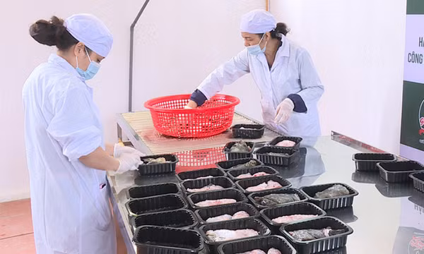 Từng bước tháo gỡ các "nút thắt"