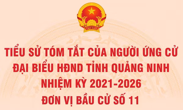 Tiểu sử tóm tắt của người ứng cử đại biểu HĐND tỉnh Quảng Ninh nhiệm kỳ 2021 - 2026 (Đơn vị bầu cử số 11)
