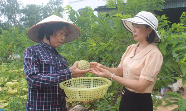 Gắn sinh hoạt hội với các phong trào thi đua