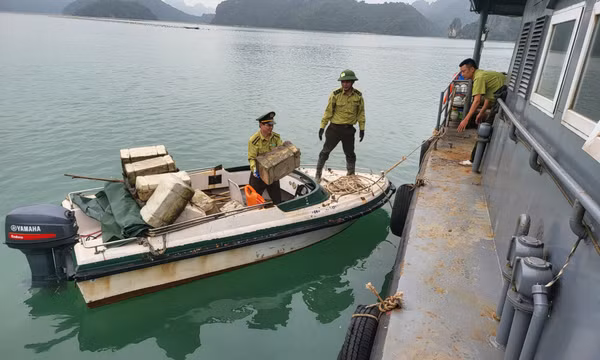 Thu gom, xử lý 1.150 quả phao xốp trên Vịnh Bái Tử Long