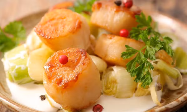 Sò điệp có tốt cho phụ nữ mang thai?