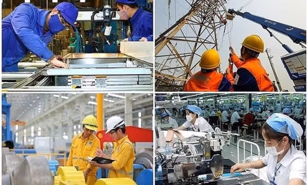 Nhóm doanh nghiệp ‘sếu đầu đàn’ vừa nộp ngân sách 61.700 tỷ đồng