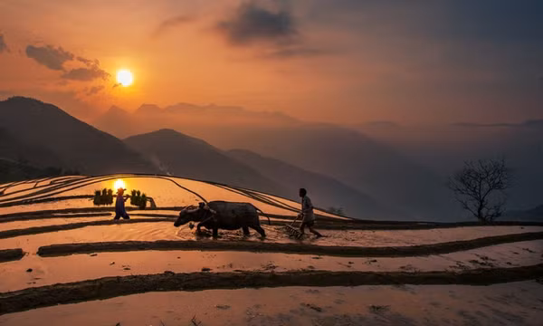 Sa Pa lấp lánh mùa nước đổ
